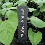  LEISTEEN PLANTENLABELS 5 STUKS