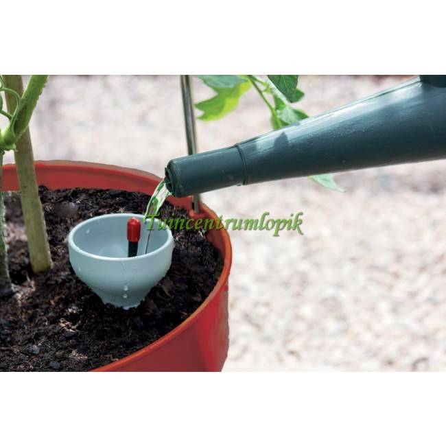  ZELF BEWATERENDE POT 11 LITER ROOD