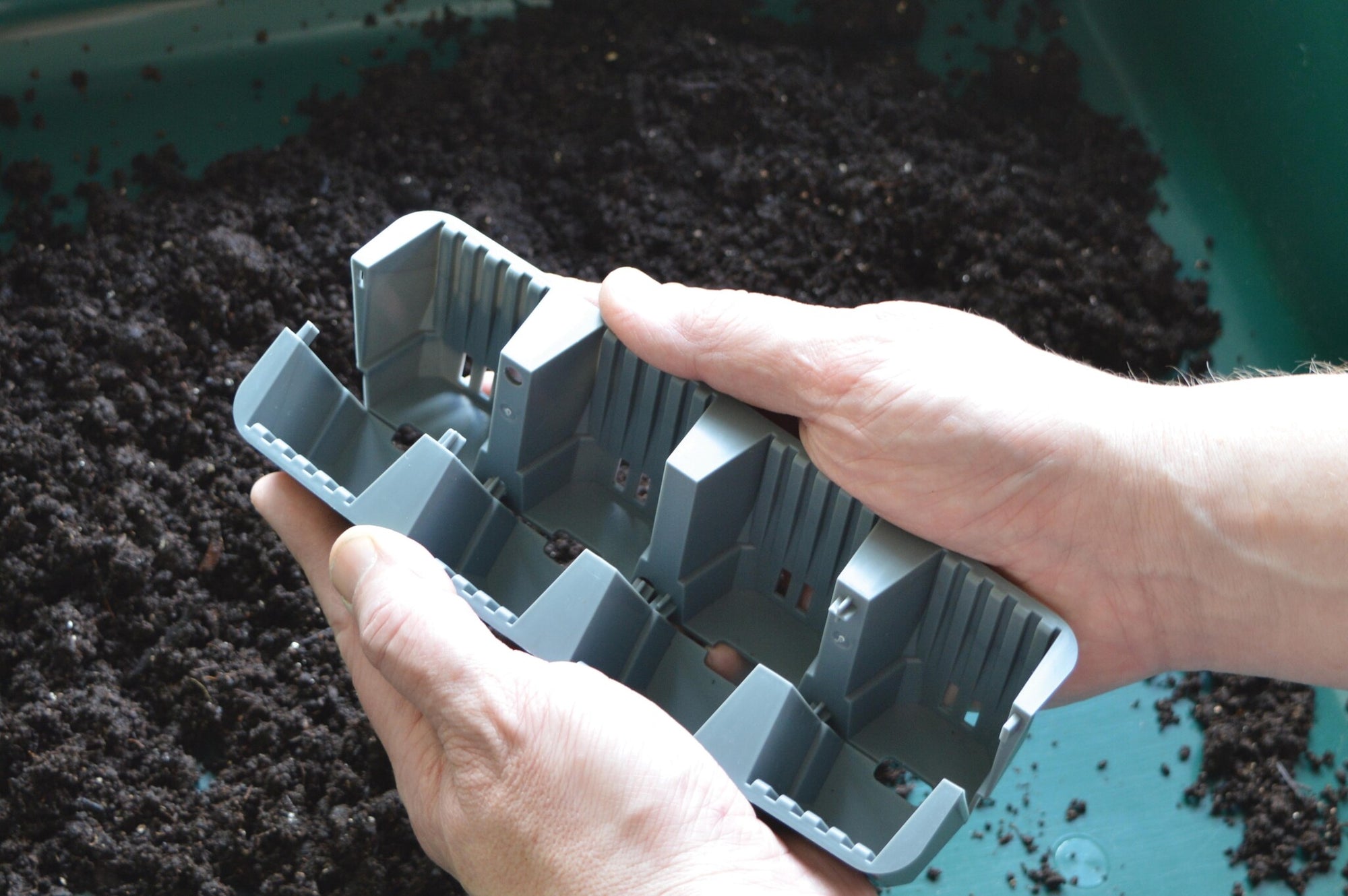 24 FAST ROOT PLANT CELLS