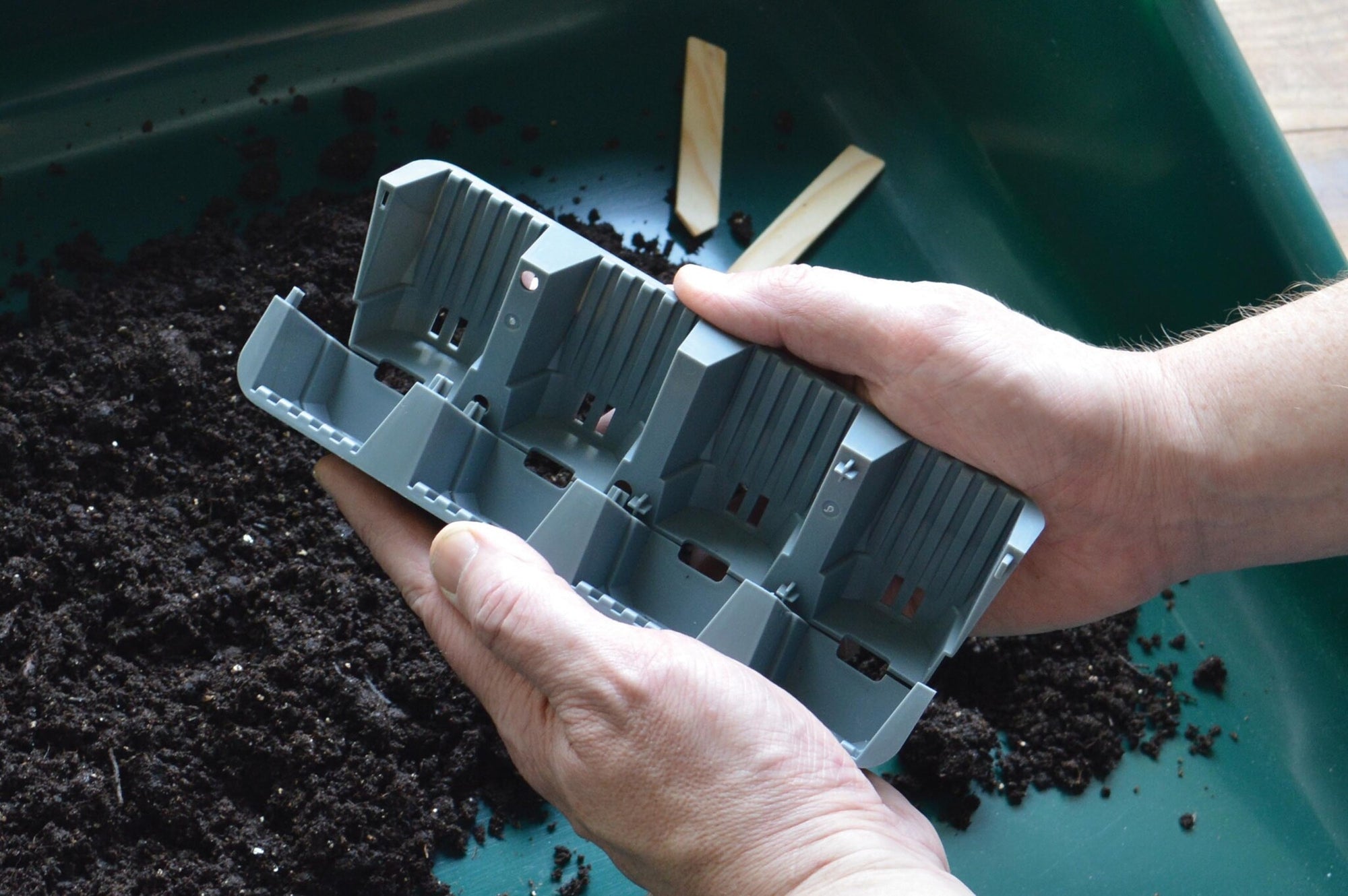 24 FAST ROOT PLANT CELLS