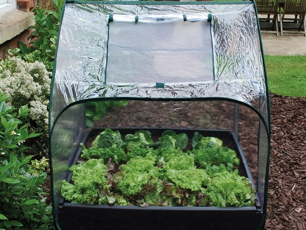  POP-UP PLASTIC KAS VOOR KWEEKBAK