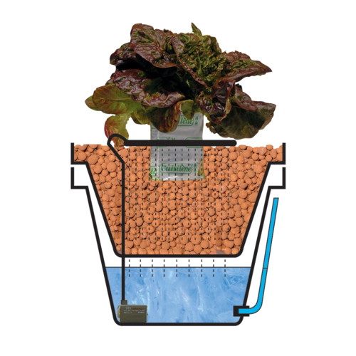 HYDROCULTUUR KWEEKSYSTEEM | WATERFARM & AQUAFARM V3  45 LITER