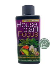 HOUSEPLANT FOCUS 100 ML