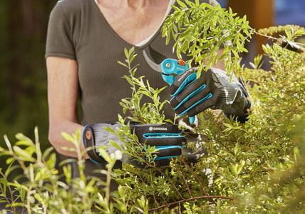 STRUIKONDERHOUD HANDSCHOENEN MAAT M