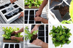 greenwall verticale tuin wit