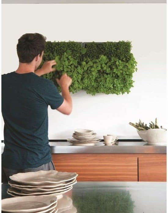 greenwall verticale tuin grijs