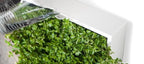 greenwall verticale tuin wit