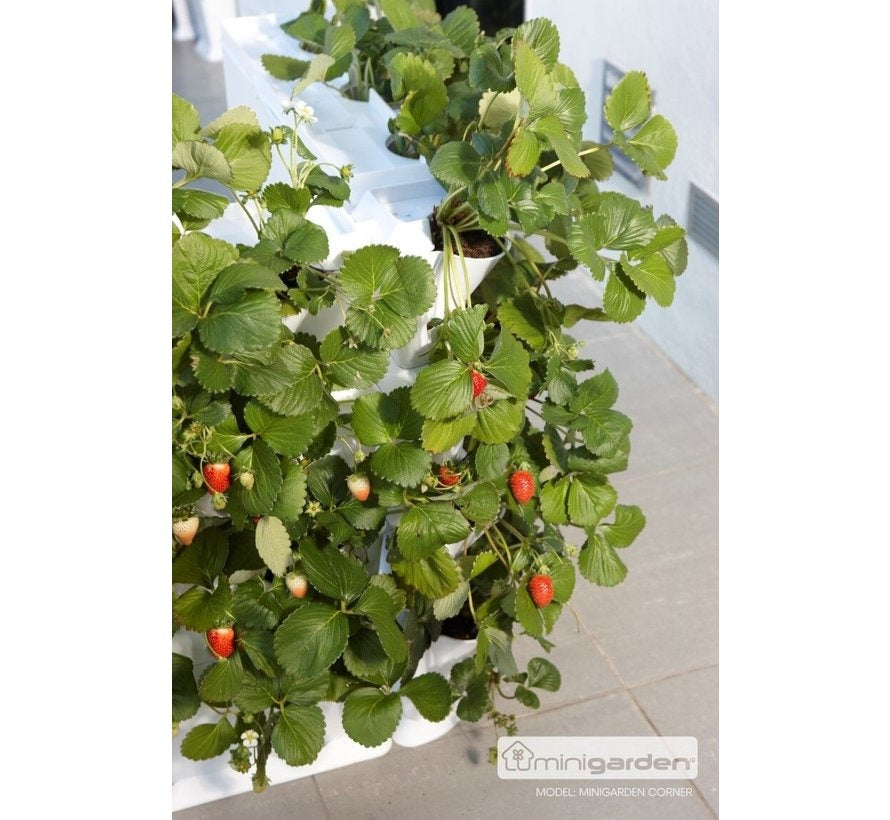 VERTICAL 3 MODULE STARTER SET - KLEUR WIT