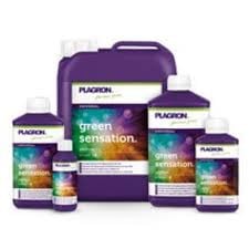  GREEN SENSATION 500 ML