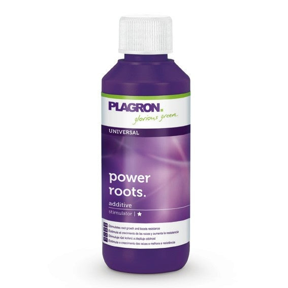 PLAGRON POWER ROOTS 100 ML