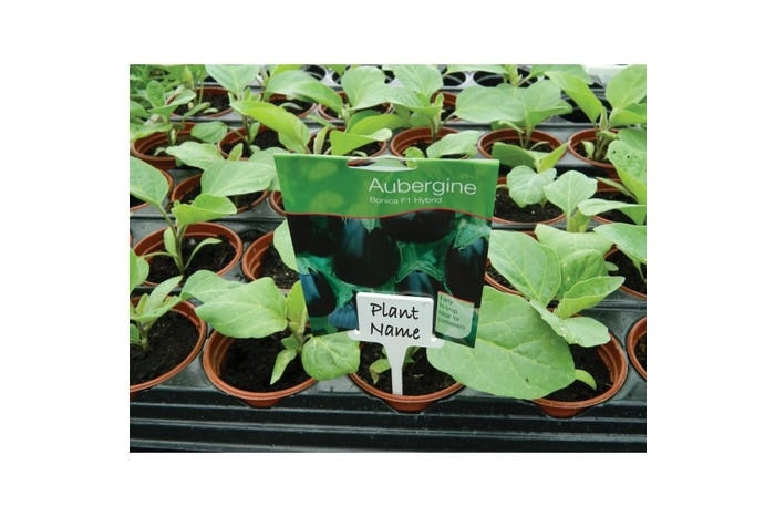 WITTE PLANTENLABELS T-VORM 10 STUKS