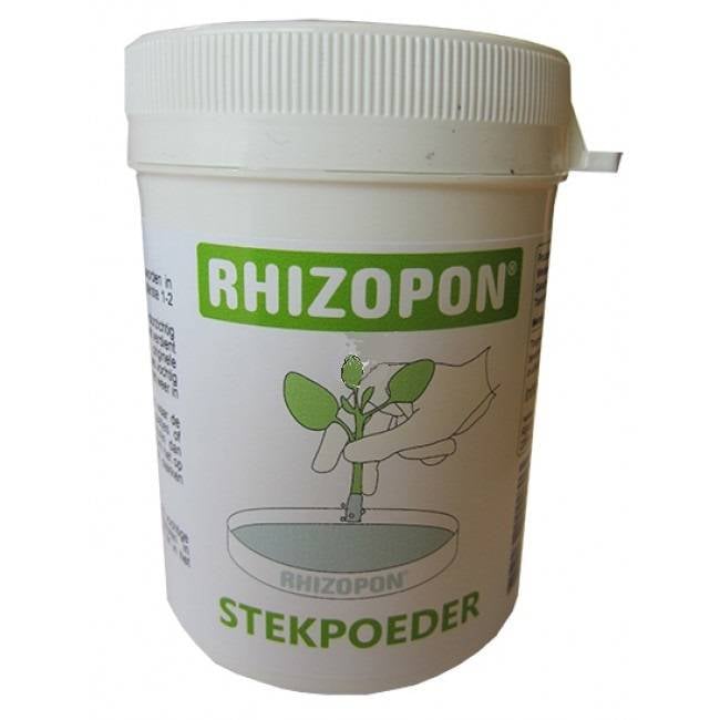 CHRYZOTOP GROEN 0.25% 80 GRAM