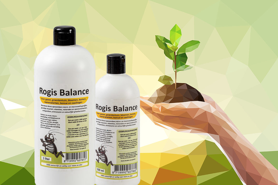 BALANCE 500 ML