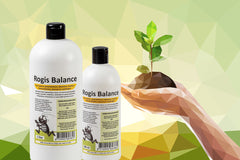 BALANCE 500 ML