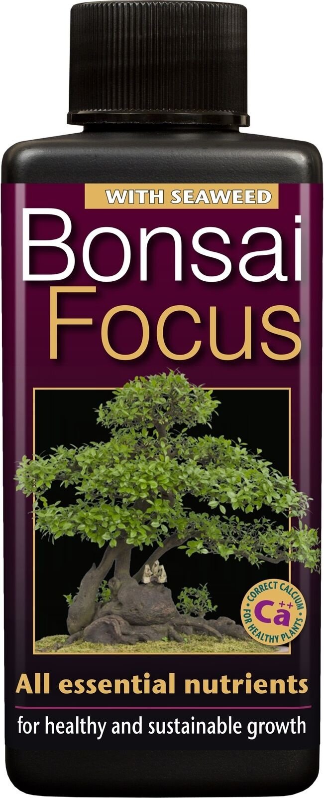 BONSAI FOCUS 100 ML