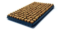 SPEEDGROW ZAAI & STEK PLUGGEN 126 (DOOS=11 TRAYS)