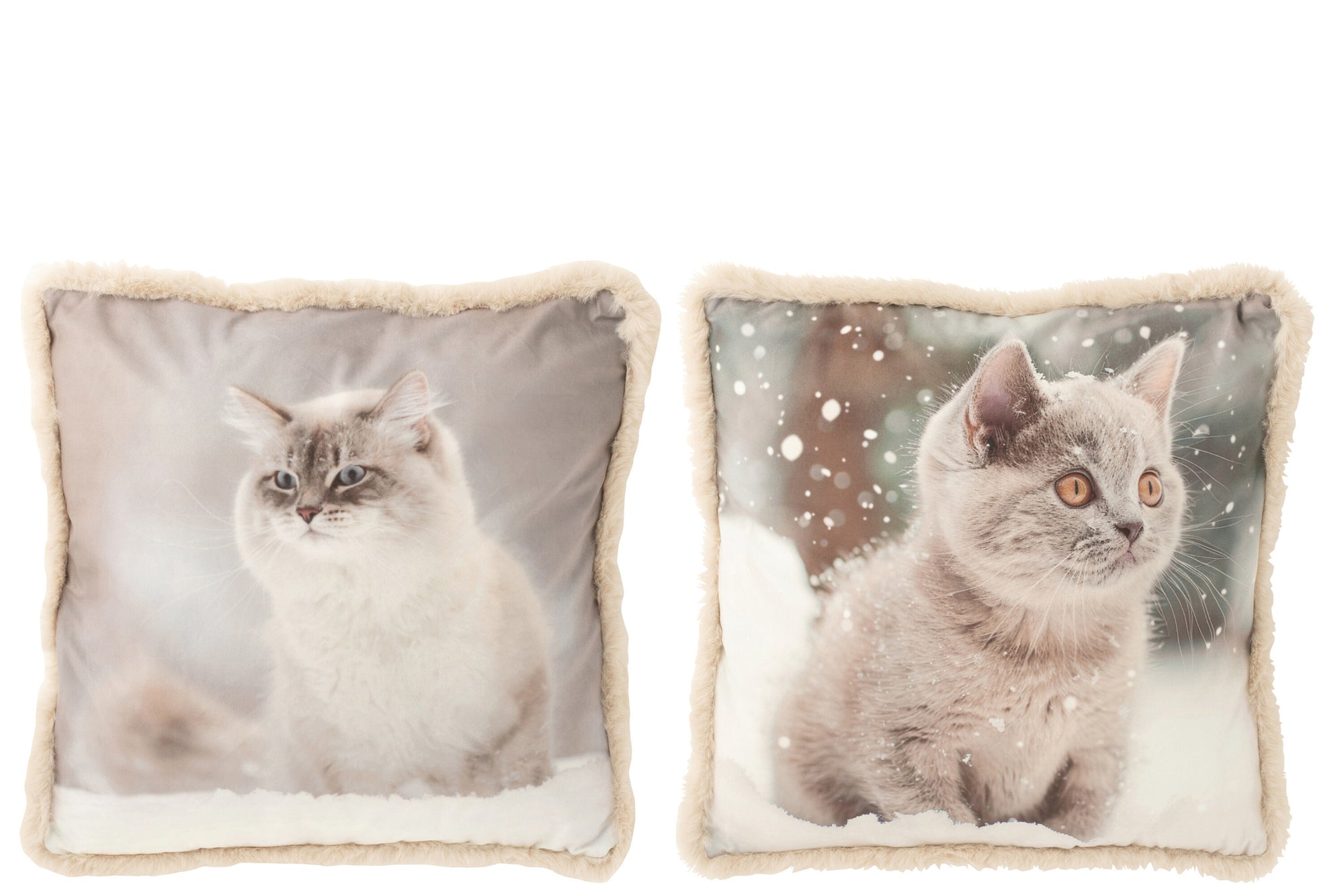Kussen Kat Polyester Greige/Off-White Groot Assortiment Van 2