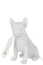 Lamp Bulldog Poly Wit