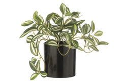 J-LINE TRADESCANTIA IN POT KUNSTPLANT GROEN/WIT