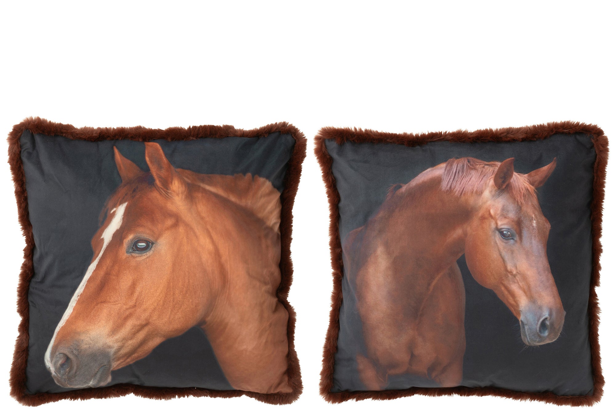 Kussen Paard Polyester Bruin Groot Assortiment Van 2