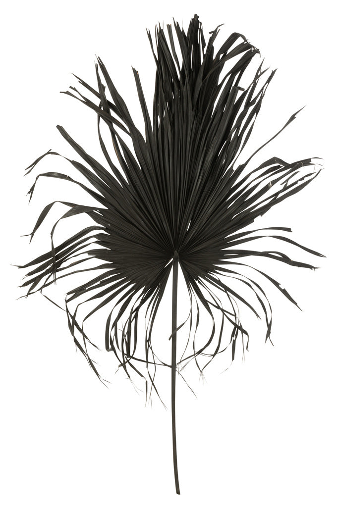 J-LINE PALMLEAF DECO PALMTREE ZWART