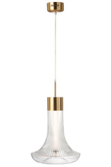 Hanglamp LED goud metaal/glas transparant