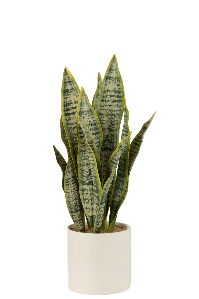 J-LINE PLANT SANSEVIERIA IN POT PVC GROEN LARGE