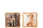 Kussen Hond Polyester Bruin/Beige Klein Assortiment Van 2