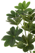 Geldboom Pot Plastic Groen L