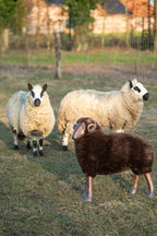 J-LINE SCHAAPSHOORNS KALKPOEDER BRUIN