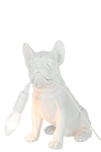 Lamp Bulldog Poly Wit