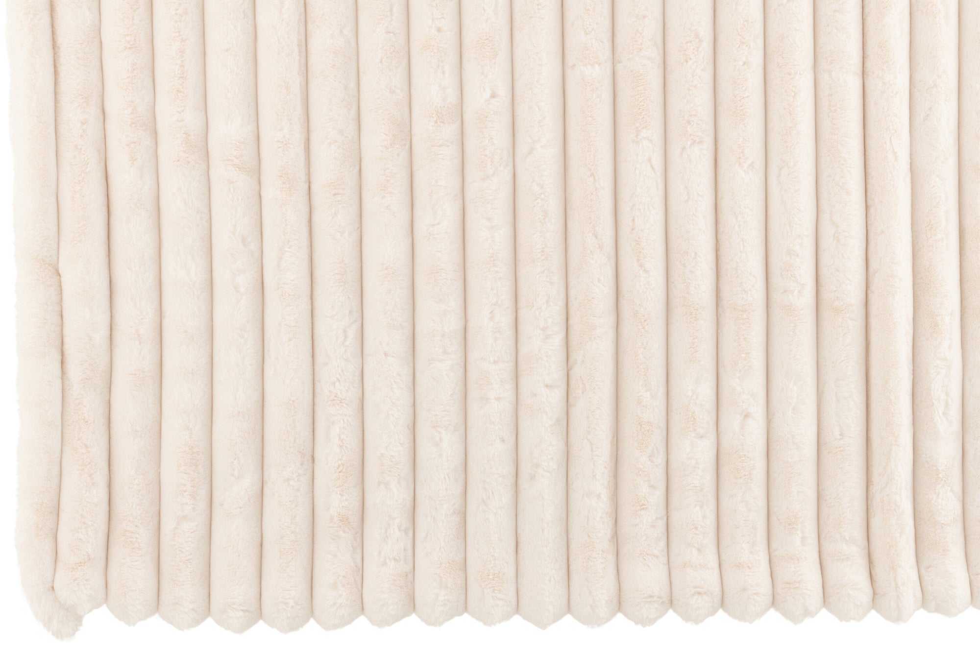 J-LINE PLAID GROOT CORDUROY POLYESTER WIT