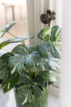 J-LINE MONSTERA IN POT – KUNSTPLANT GROEN