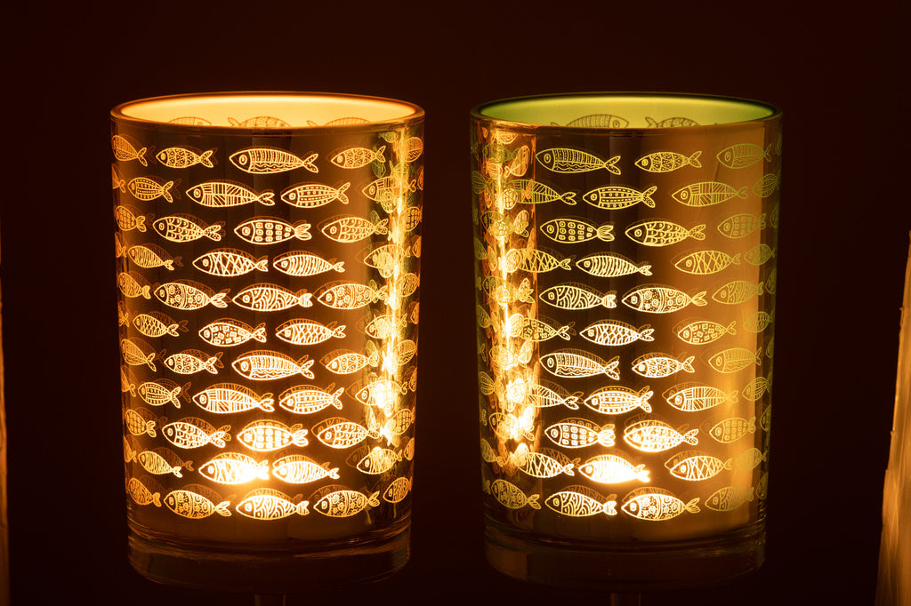 J-LINE HURRICANE FISH GLASS BEIGE/BLUE LARGE – SET VAN TWEE STUKS