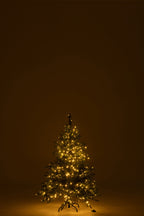 Boom 600 Led Donkergroen Klein