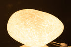 Lamp Dany Spots Ovaal Glas Wit
