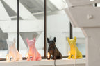 Lamp Bulldog Poly Wit