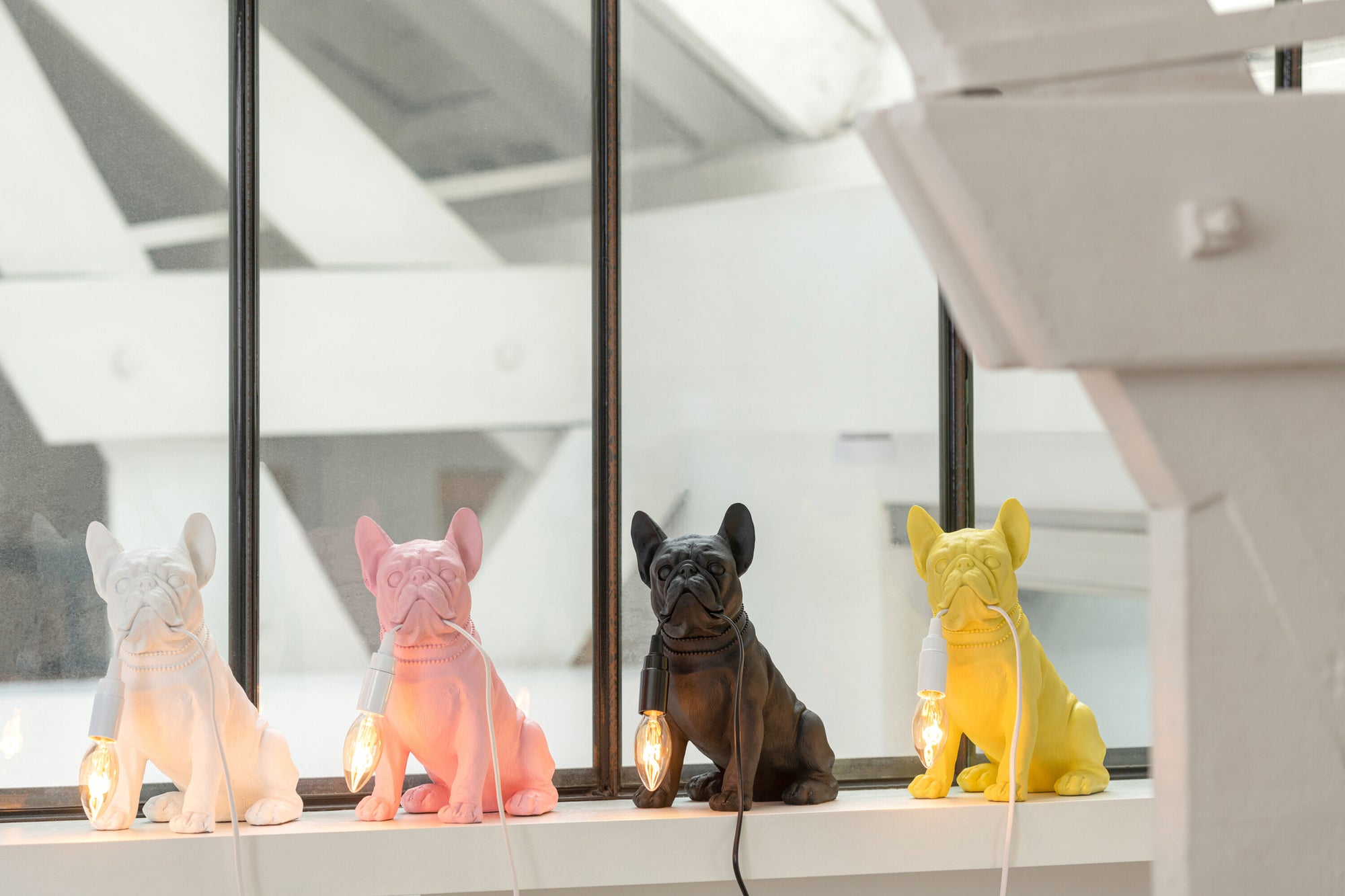 Lamp Bulldog Poly Wit