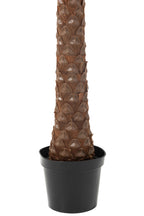Palmboom 4 Kokosnoten In Pot Plastic Groen