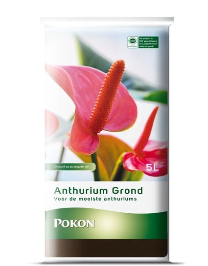 ANTHURIUM GROND 5 LITER